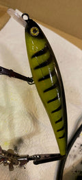 Top Water Shallow Diver (Green Tiger)