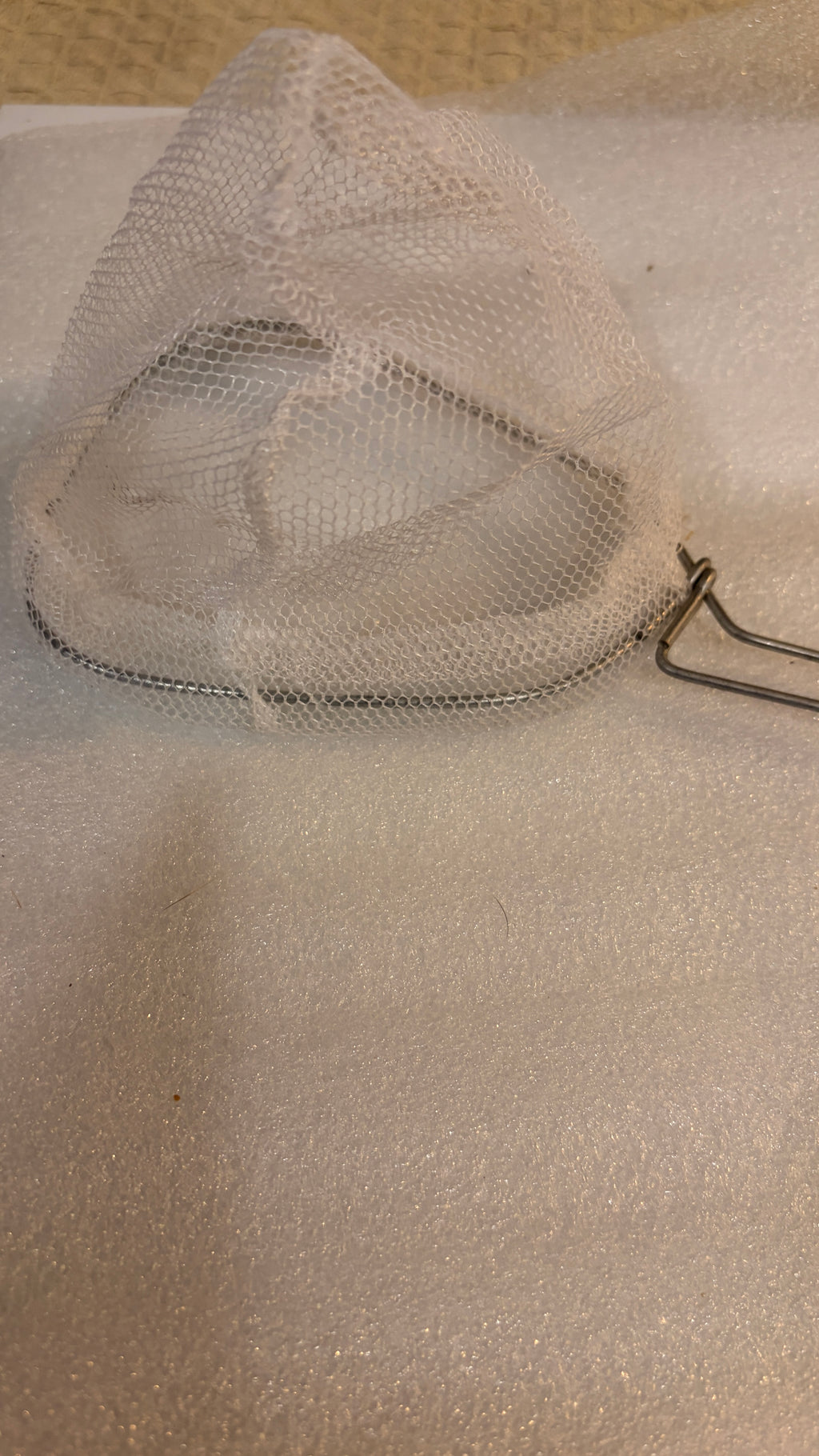 Shiner Dip Net