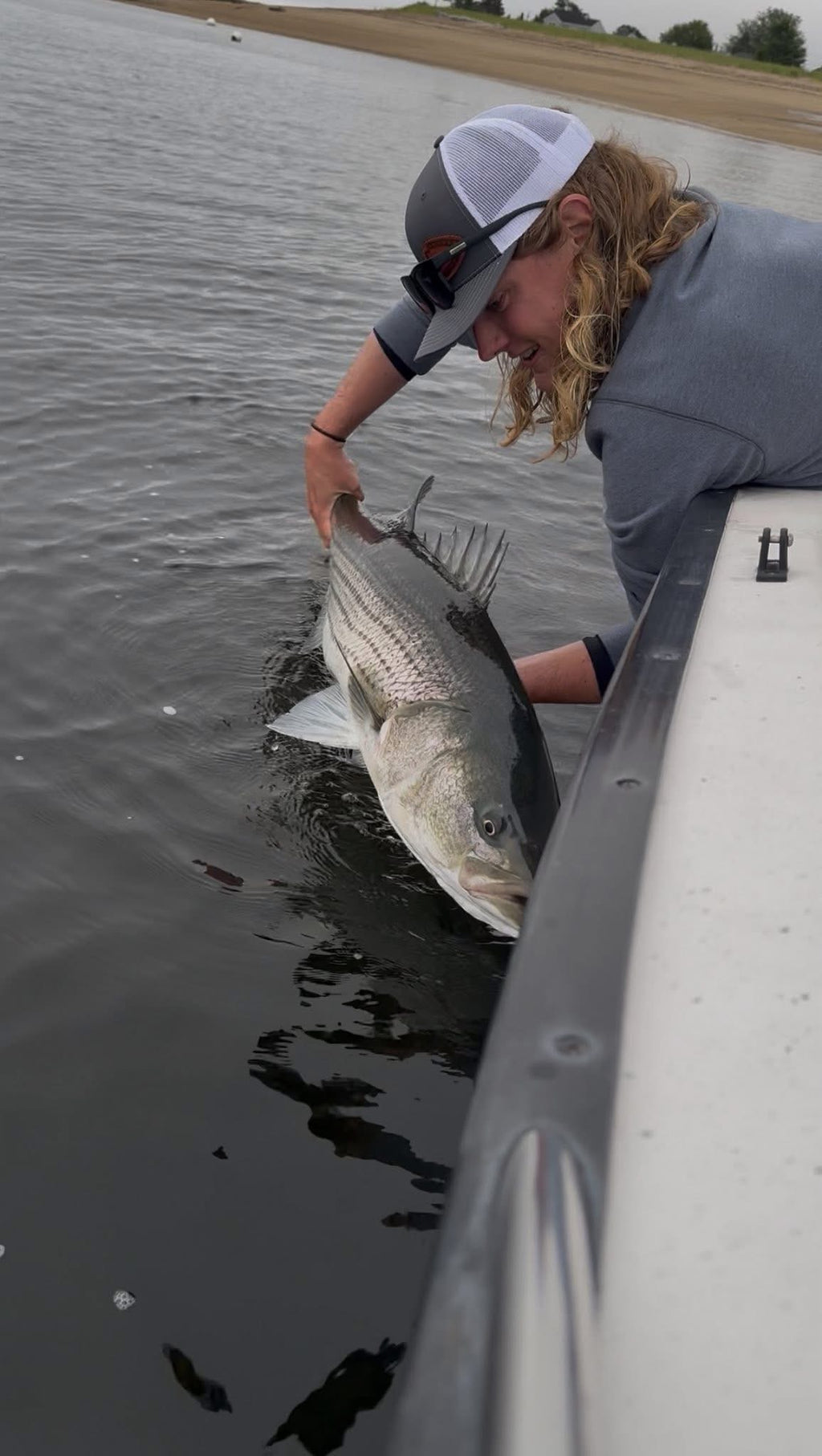 Striper Tube - Ghost (White)